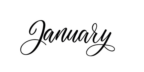 January - Handwritten inscription in calligraphic style on a white background. Vector illustration