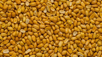 Wheat grains collected in a vast field during harvest season showcasing their golden hue and natural texture under soft sunlight