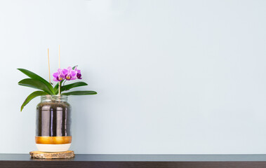 A vase with a purple flower in it sits on a shelf. The vase is made of glass and has a gold rim