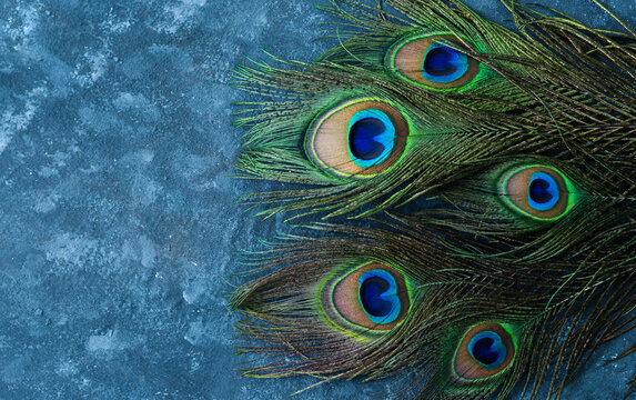 Closeup image of peacock feather, Mayilppeeli background