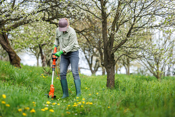 Woman is cutting grass by string trimmer in garden. Mowing lawn in orchard. Spring gardening