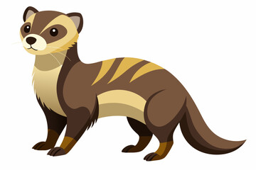 Ferret vector design on white background.