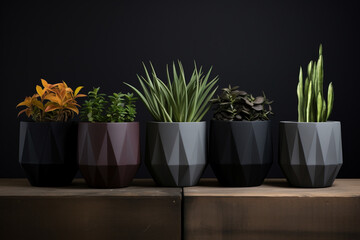 A row of geometric-shaped plant pots in matte finishes, adding a contemporary touch.