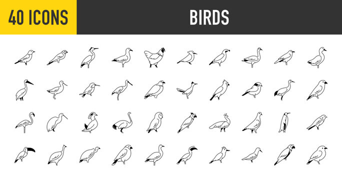 Birds icons set. Such as heron, peacock, crane, duck, flamingo, avocet, eagle, falcon, hen, humming, kingfisher, kiwi, ostrich, owl, parrot, penguin, pigeon, raven, sparrow vector icon illustration.
