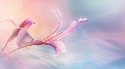 Surreal Lilies Bathed in Soft Pastel Light