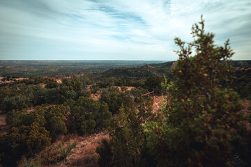 Texas Canyons