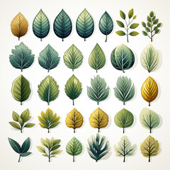 Set of vector leaves. Collection of green, yellow and orange leaves.