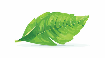 Recycle Green Leaf Vector Illustration flat vector isolated