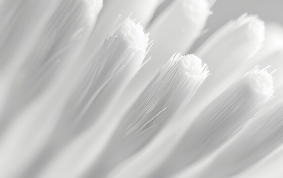 Extreme close-up of white toothbrush bristles, highlighting the contrast and shadows between the strands, minimalist style