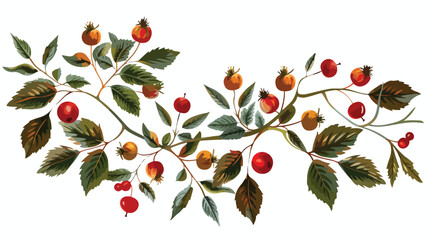 Rosehips bouquet with leaves and berries flat vector