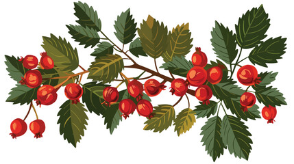 Rosehips bouquet with leaves and berries flat vector