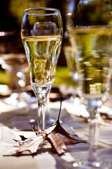 Close up champagne glass with bubbles
