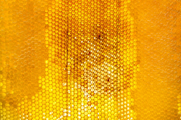 Drop of bee honey drip from hexagonal honeycombs filled with golden nectar