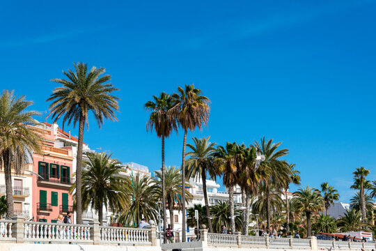 Sitges promenade seaside, landscape with palm trees, spain seafront 