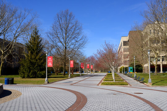 Spring at Stony Brook University (SBU) on Long Island in Stony Brook, New York