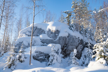 Frosty January day in the Ruskeala Mountain Park. Karelia, Russia - 779929669