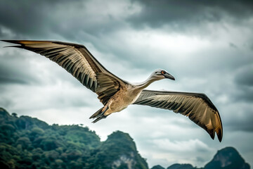 Fototapeta premium Flying pterodactyl over the land