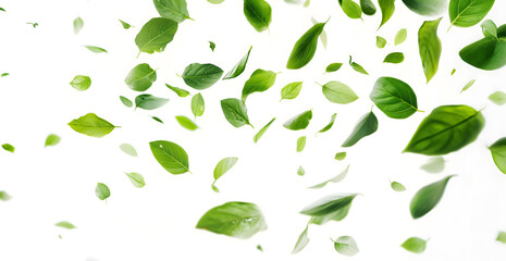 Scattered Green Leaves on a Light Background for Fresh Concepts