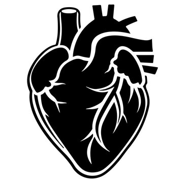 Human heart organ with aorta and arteries flat vector icon