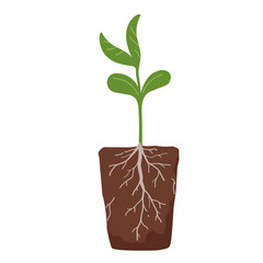 Sprout with roots and a clod of earth, spring planting. Vector illustration in flat style.