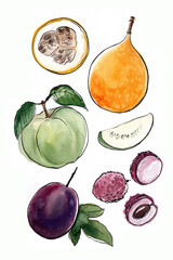 Watercolor exotic fruit sketch. Colorful food image. Guava, granadilla, passionfruit, lychee,  - 779935819