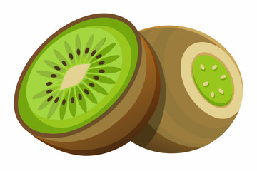 Kiwifruit vector on white background .