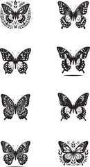butterfly silhouette  black color . white color background  