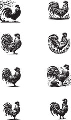 rooster  silhouette  black color . white color background  
