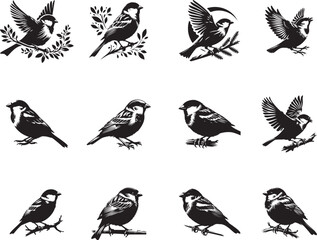 sparrow  silhouette  black color . white color background 