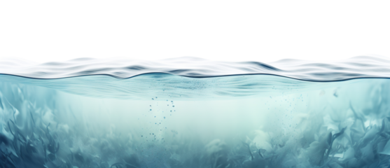 Serene undersea scene cut out