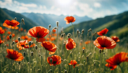 Red poppy. Poppy flowering. Mountain landscape with blooming red poppy. Panorama of flowering mountain meadows. Selective focus. AI generated - obrazy, fototapety, plakaty