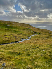 Färöer Inseln, Faroe Islands, sheep, Lake, Landschaften, Landscapes, Mountains, Berge, Nord...