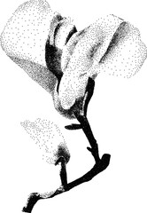 Naklejka premium Grunge grain orchid with a xerox or grainy photocopy effect. Dotted flower with halftone stipple effect for gothic collage design. Vector illustration.