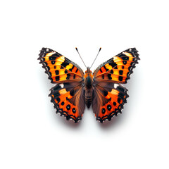 Fototapeta na wymiar Orange and Black Butterfly on White Background. Generative AI
