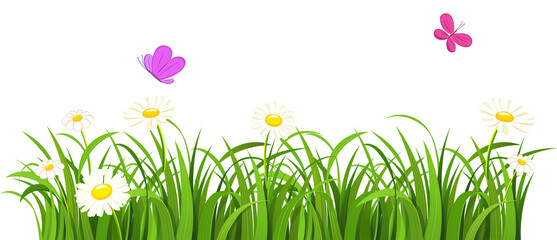 summer meadow flowers with insects. vector illustration of flat concept floral .PNG 
