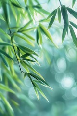 Whispers of Serenity: Bamboo Leaves Basking in Sunlit Harmony - Generative AI
