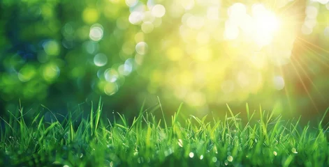 Foto op Plexiglas Sunny Serenity: Dew-Kissed Green Bliss in the Light of Spring - Generative AI © Gelpi