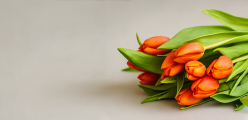 red tulip flowers on light gray background.