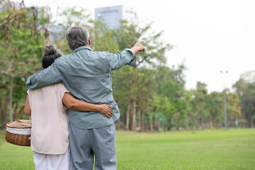 back senior couple looking forward and pointing to something in the park