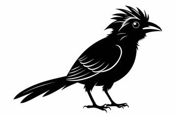 Fototapeta premium Lineated barbet black silhouette birds vector.