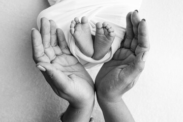 Fototapeta premium The palms of the father, the mother are holding the foot of the newborn baby. Feet of the newborn on the palms of the parents. Studio macro black and white photo of a child's toes, heels and feet.