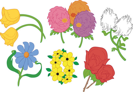 Flowers Tulip Geranium Dandelion Daisy Black-Eyed Susan Rose Vector Pack