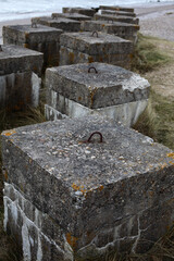 Shore - Findhorn - Moray - Scotland - UK