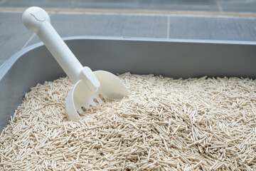 Tofu cat litter sand in the sandbox with shovel