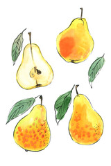 Pear Fruit sketch of food in watercolor and ink. Sketch of colored products on a white background. - 779964801