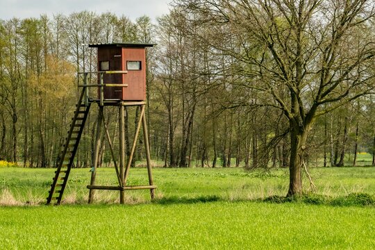 High stand for hunters in the meadow