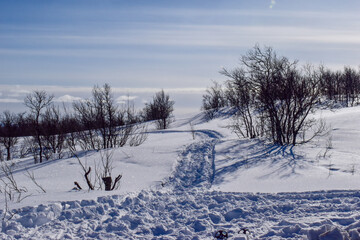 Winter landscape in Pallas Yllastunturi National Park, Lapland