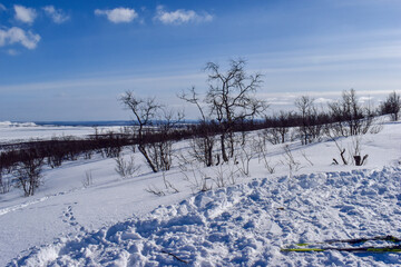 Winter landscape in Pallas Yllastunturi National Park, Lapland
