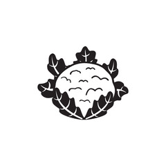 cauliflower icon symbol sign vector