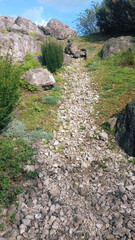 A trail covered with stone.